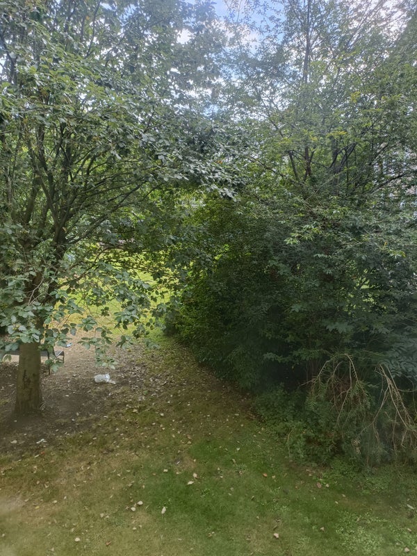 Room Pott Street in Greater London