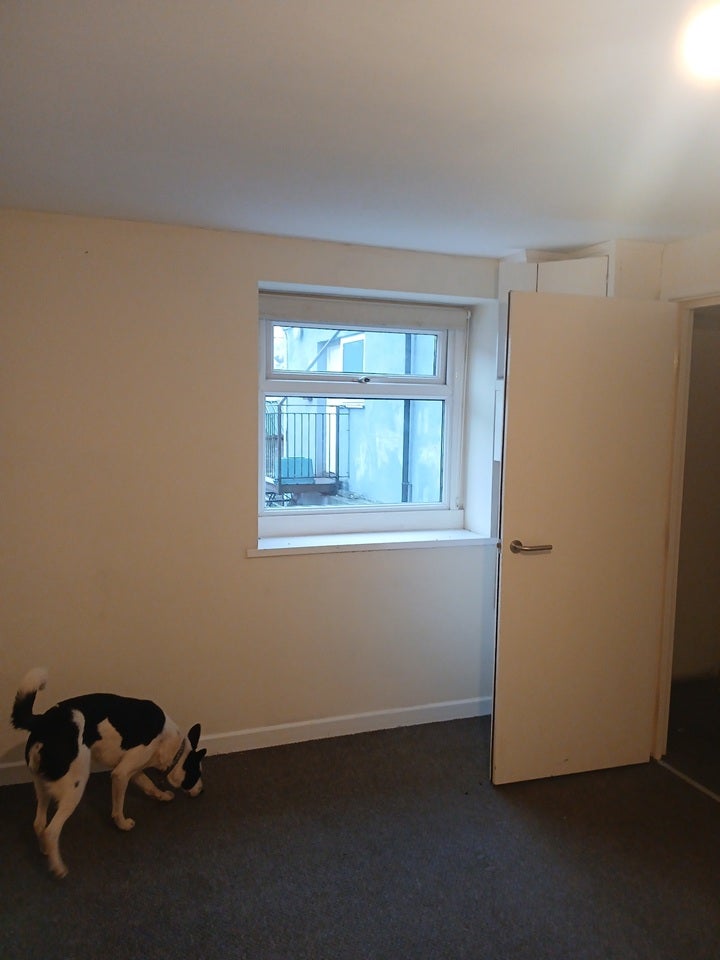 Flat Riddlefoot Lane in South Hams