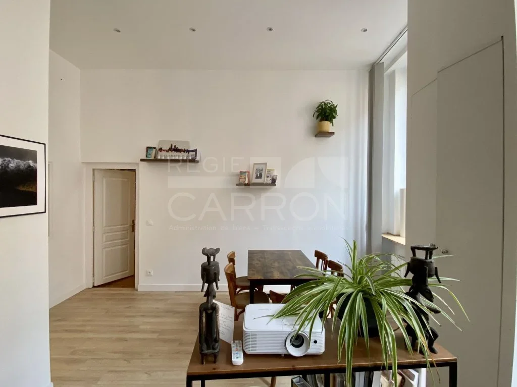 Flat Rue Duviard in Lyon