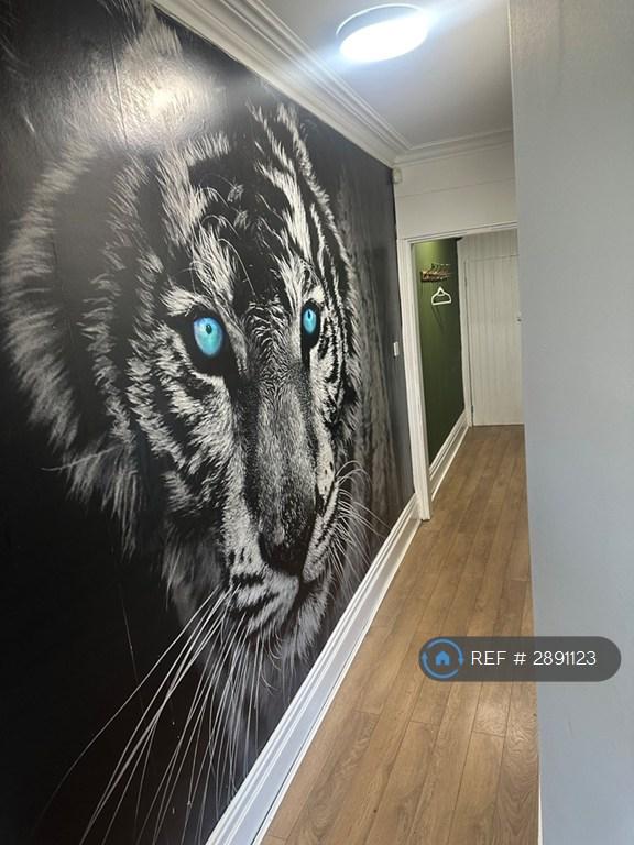 Room Westbourne Road in Luton