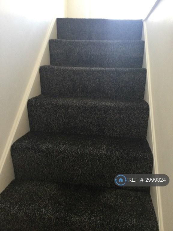 House Rokells in Basildon