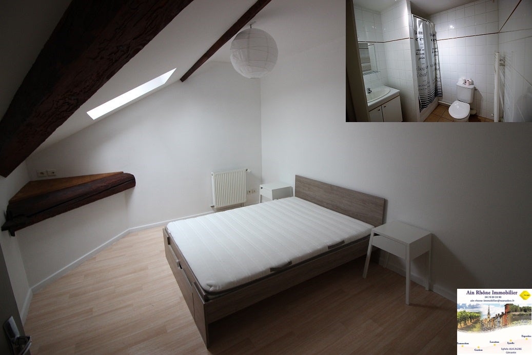 Flat Rue de Thizy in Villefranche-sur-Saône