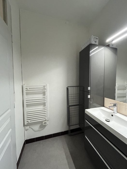 Appartement Cours Émile Zola à Villeurbanne