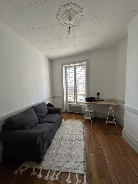 Appartement Cours Émile Zola à Villeurbanne