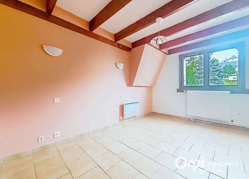 Appartement Rue du Docteur Mallet à Neuvéglise-sur-Truyère