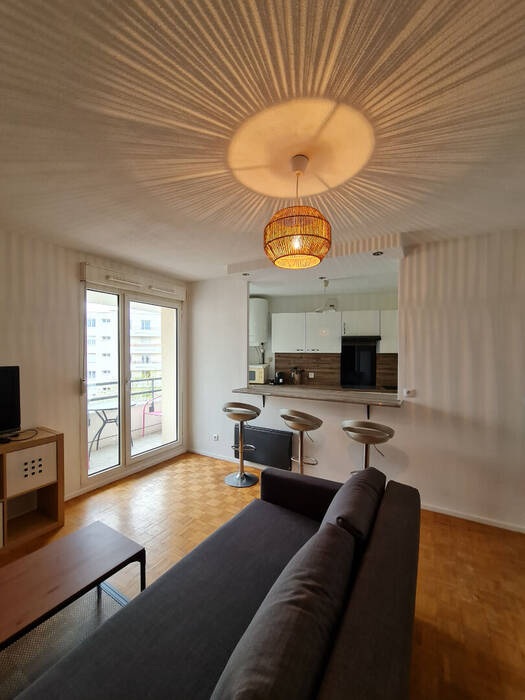 Flat Rue du Professeur Paul Sisley in Lyon