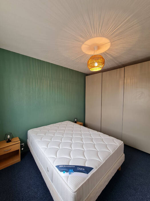 Flat Rue du Professeur Paul Sisley in Lyon