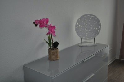 Wohnung Helmer in Bremen