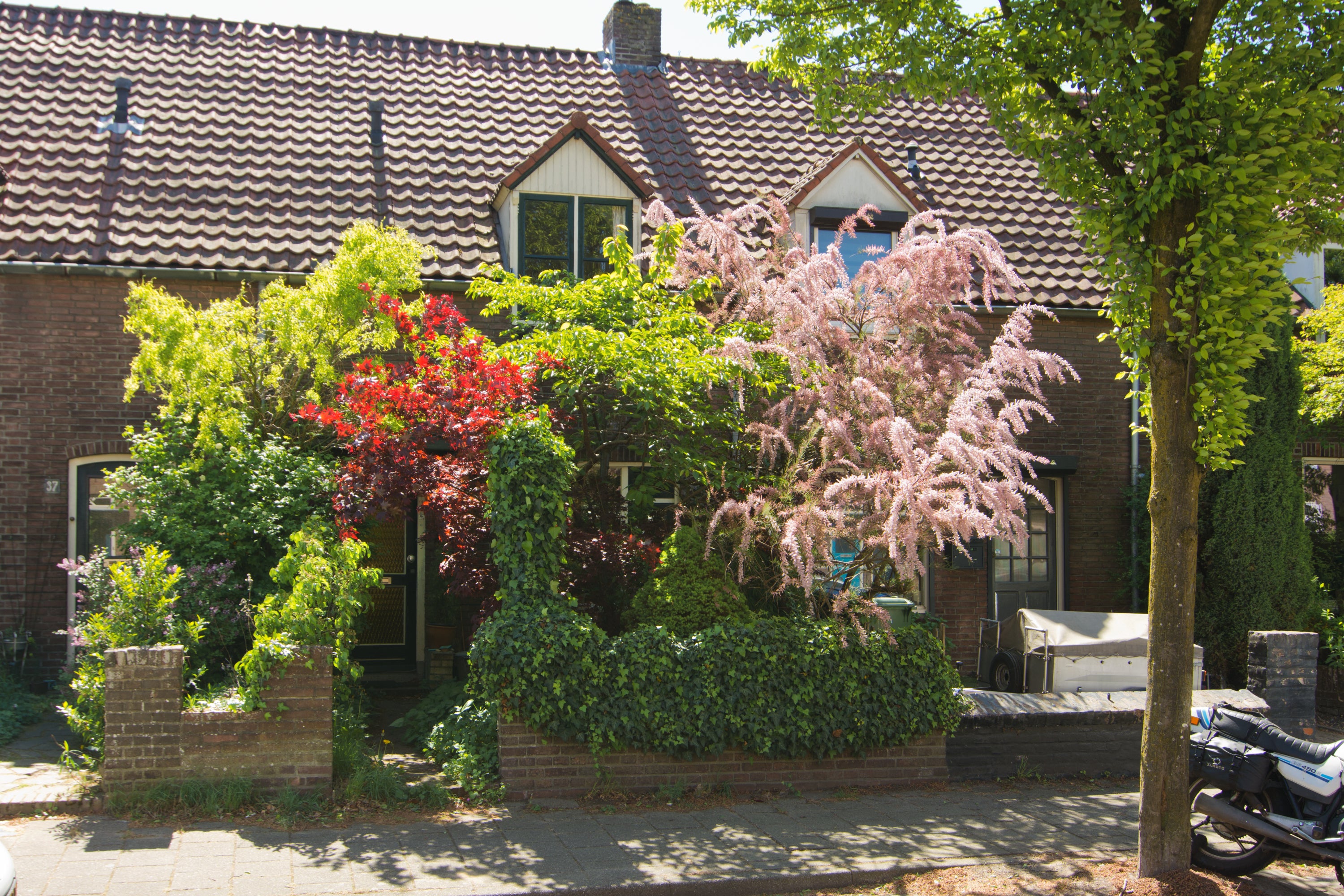 Huis Zichtstraat 39 in Nijmegen