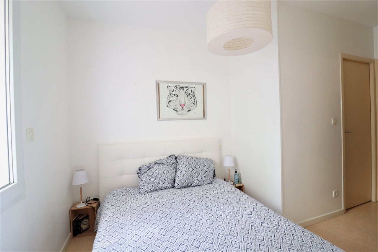 Flat Rue du Docteur Campmas in Albi