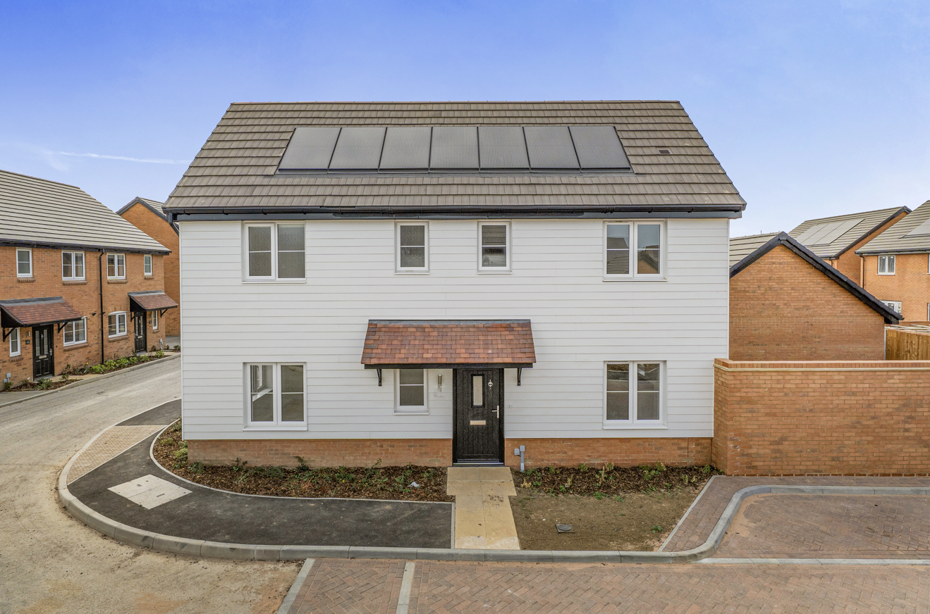 House Damselfly Road in Canterbury