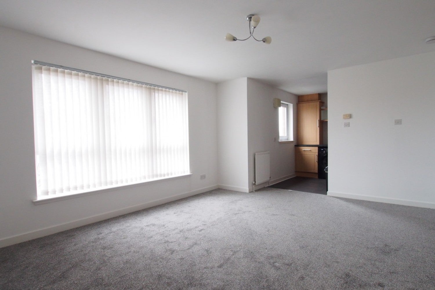 Flat Saucel Crescent in Paisley
