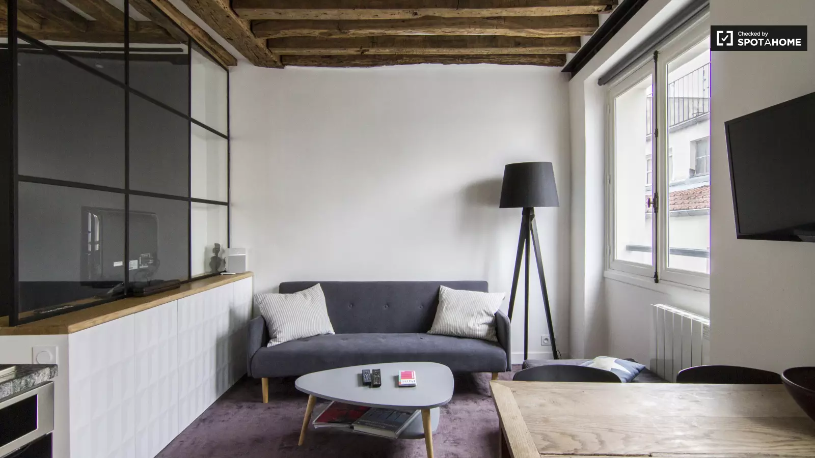 Flat Rue Dussoubs in Paris