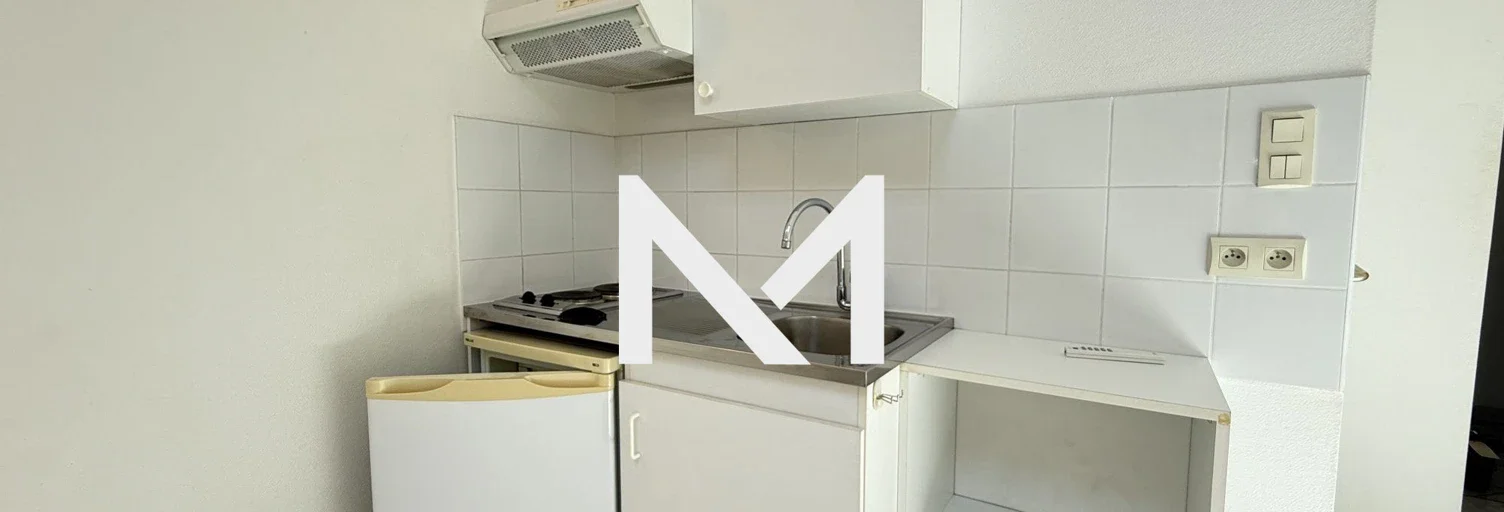 Flat Rue Ravier-Piquet in Grenoble
