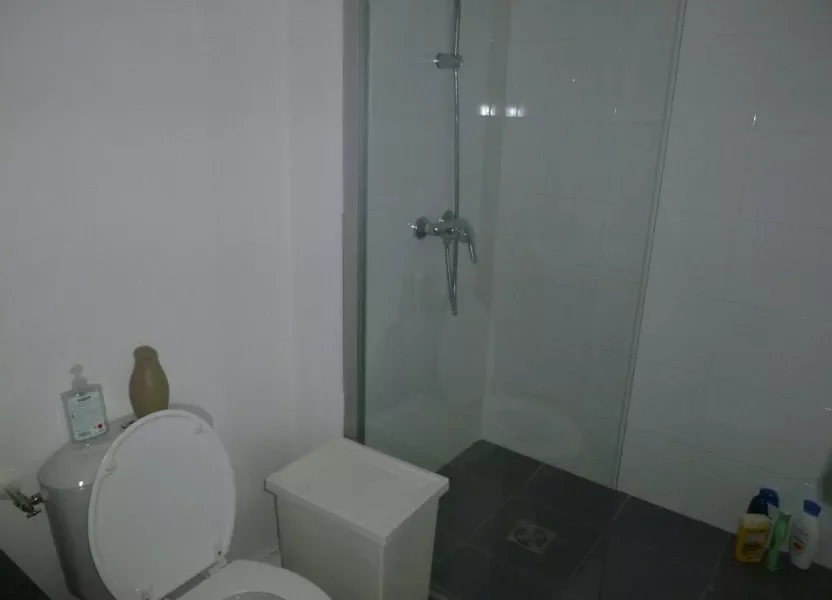 Appartement Rue Pierre Sonnerat à Lyon