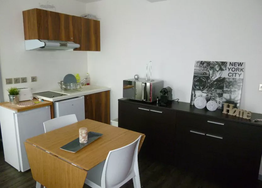 Flat Rue Pierre Sonnerat in Lyon