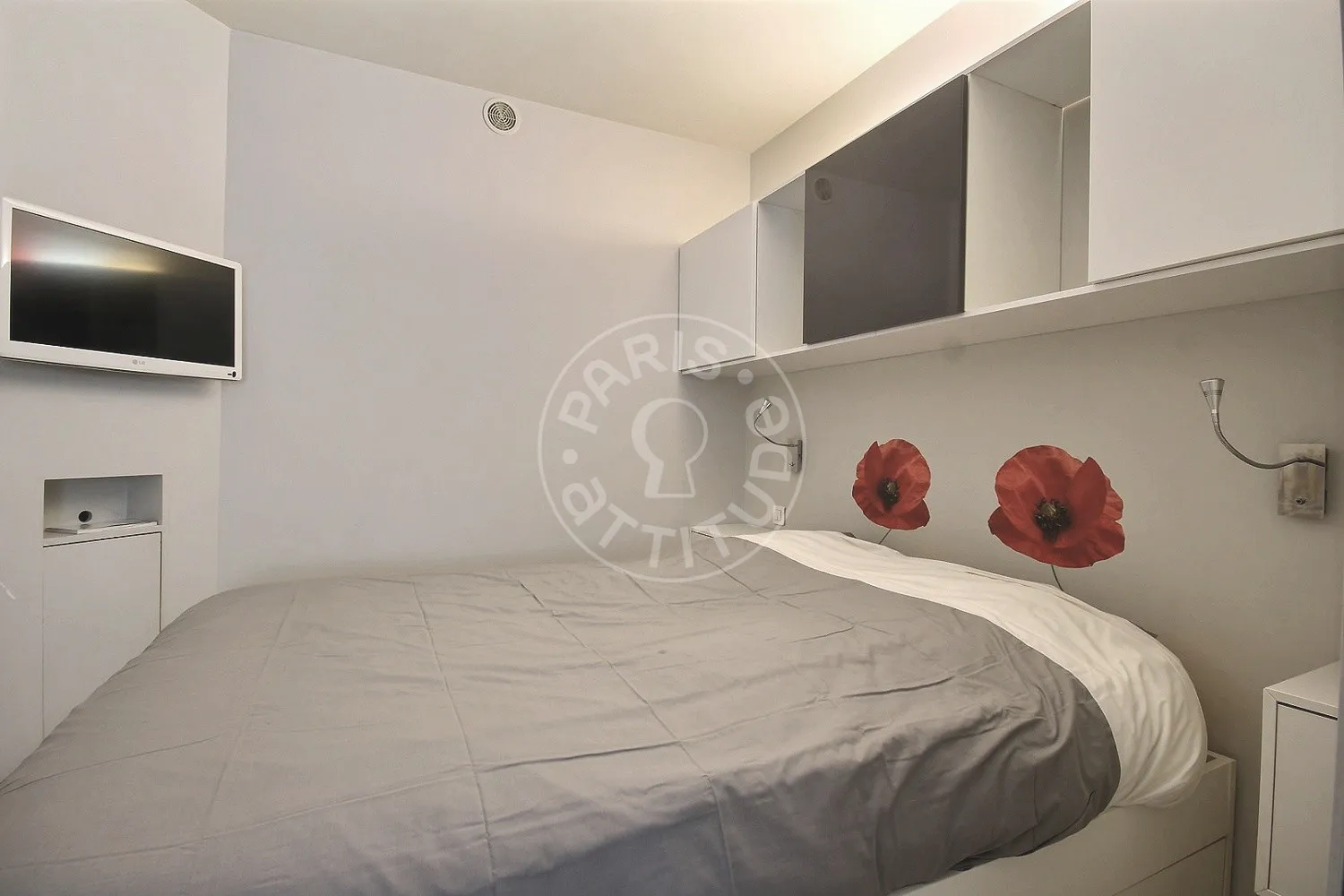 Flat Rue Cambronne in Paris