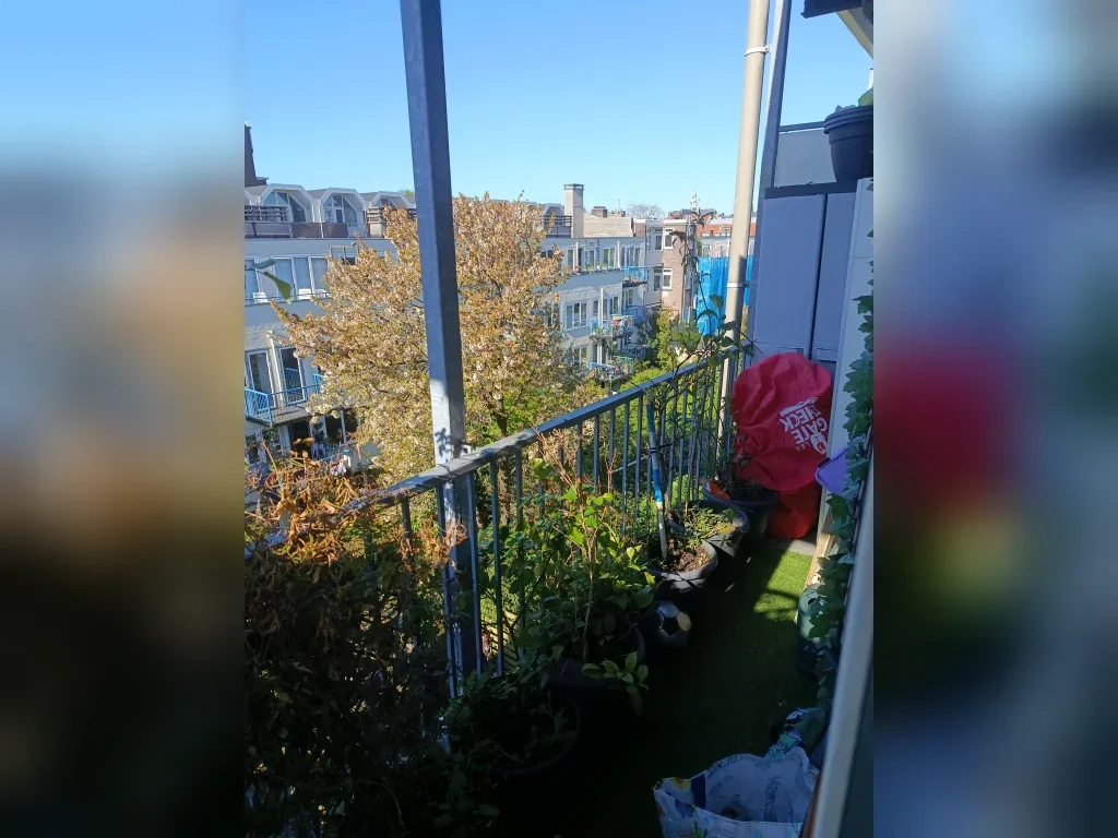 Appartement Tuinstraat 9