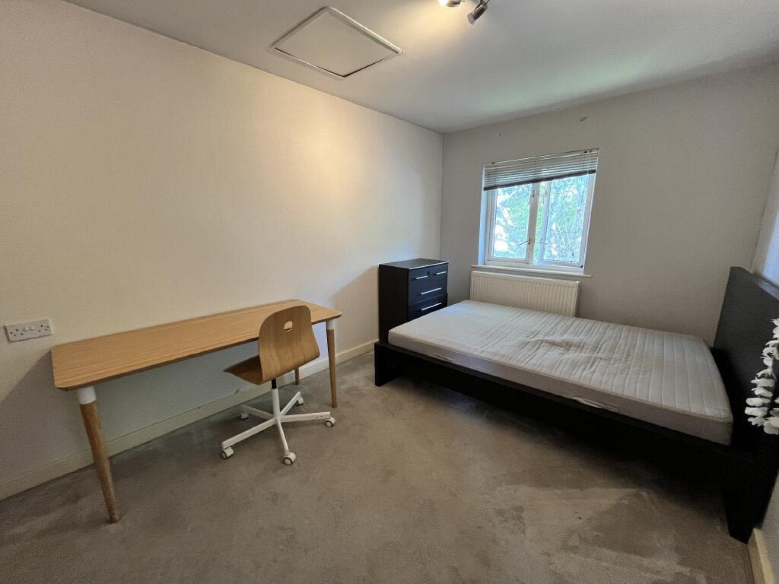 Room Eden Grove in Bristol