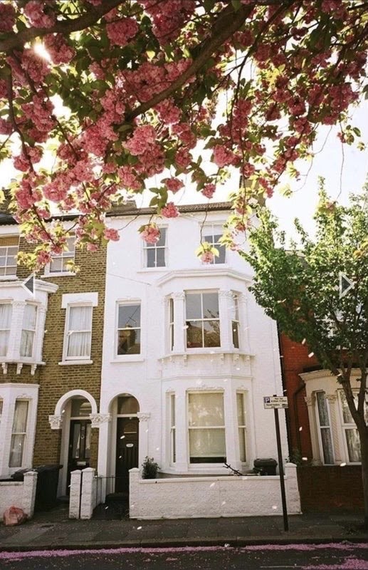 Room Raeburn Street in Greater London
