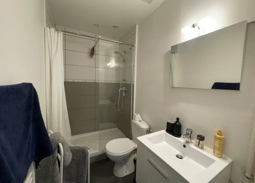 Flat Quai des Étroits in Lyon