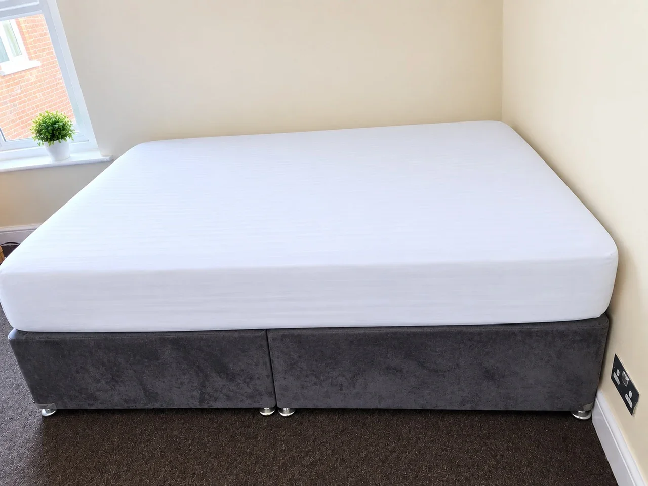 Room Olive Road in Greater London