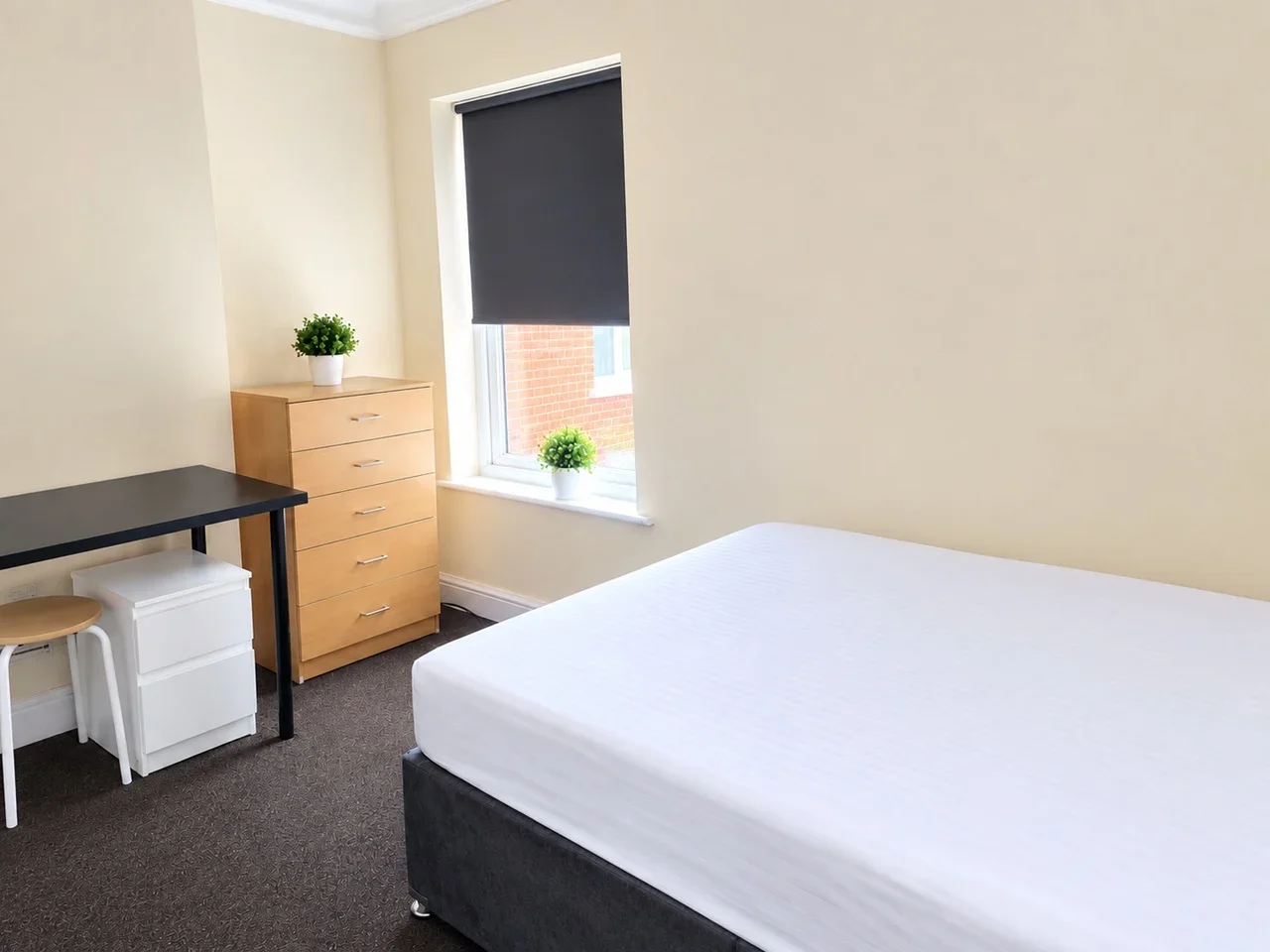 Room Olive Road in Greater London