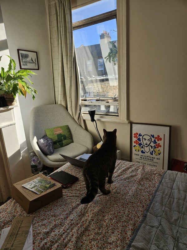 Room Priory Park Road in Greater London