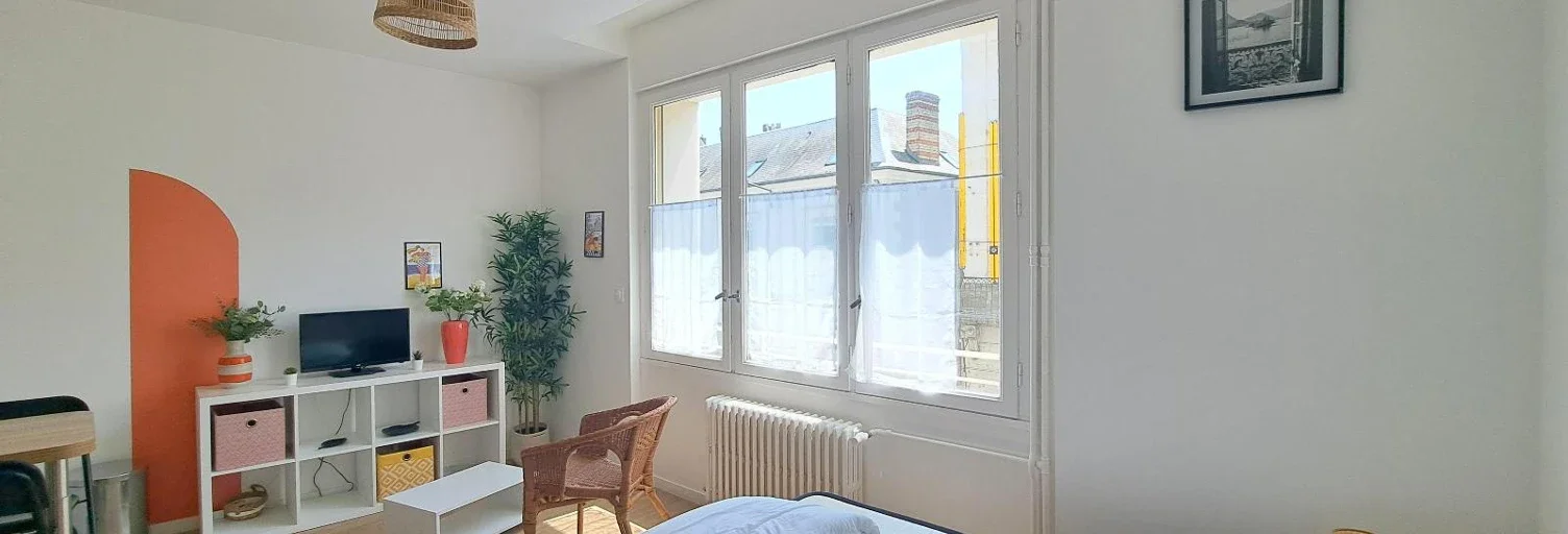 Appartement Rue Néricault Destouches à Tours