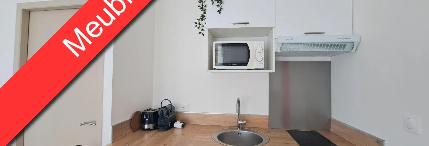 Appartement Rue Néricault Destouches à Tours