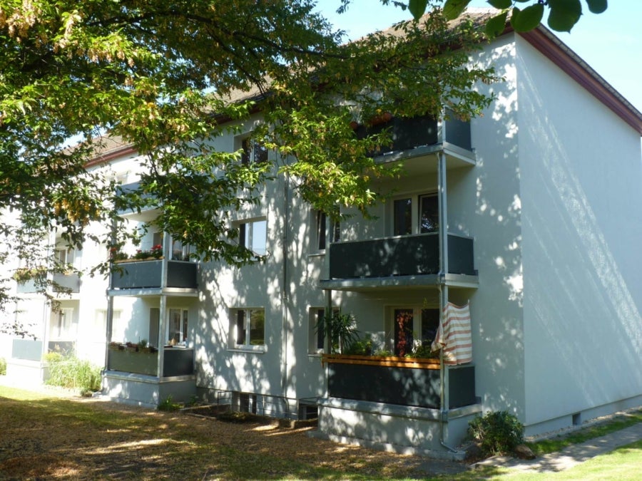 Wohnung Geinitzstraße in Dresden