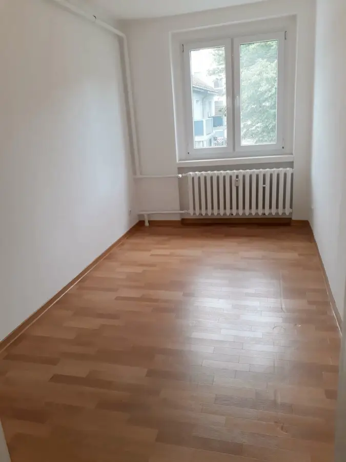 Wohnung Geinitzstraße in Dresden