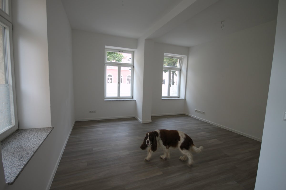Wohnung Brühl in Chemnitz