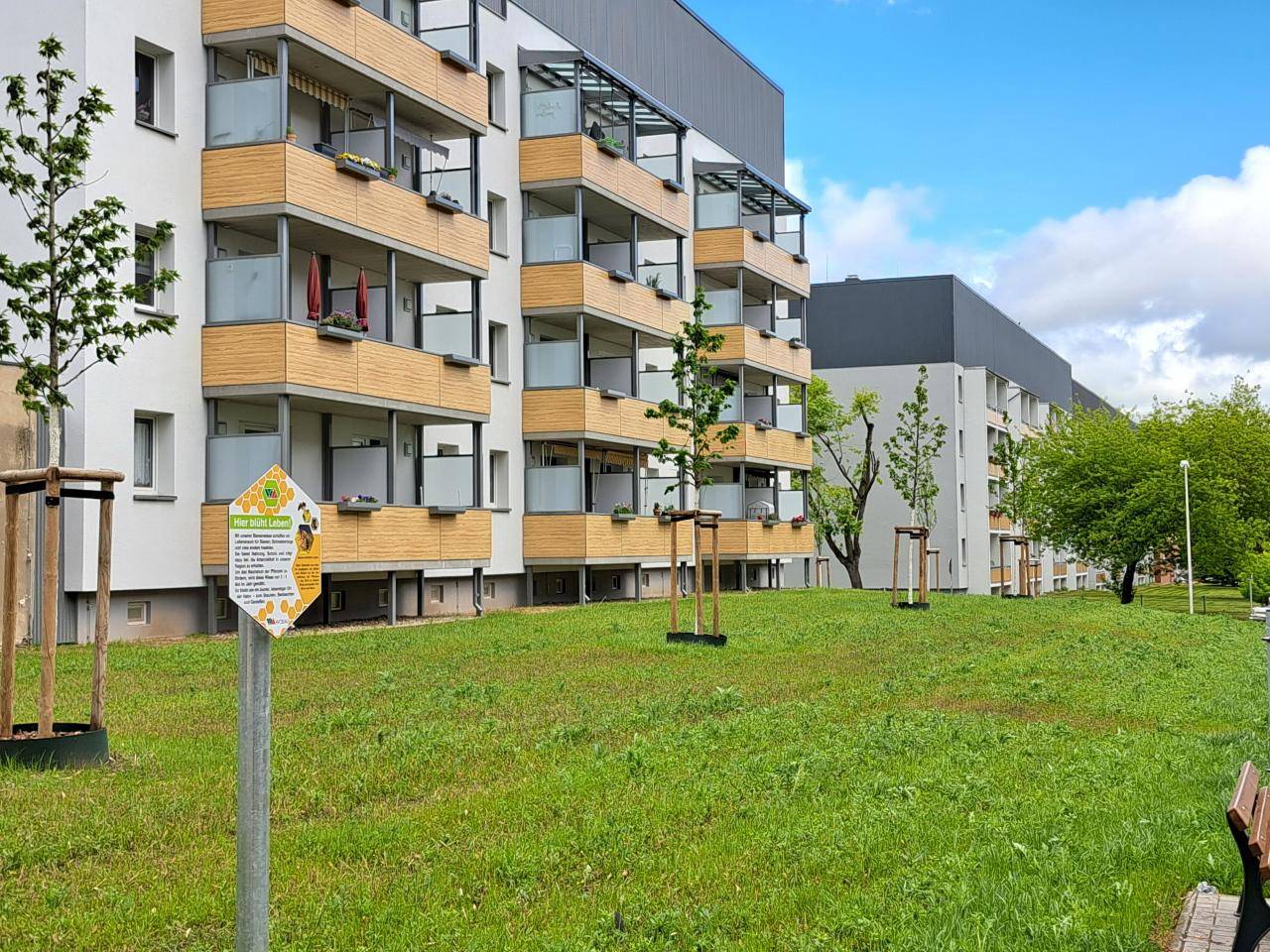 Wohnung Astonstraße in Magdeburg