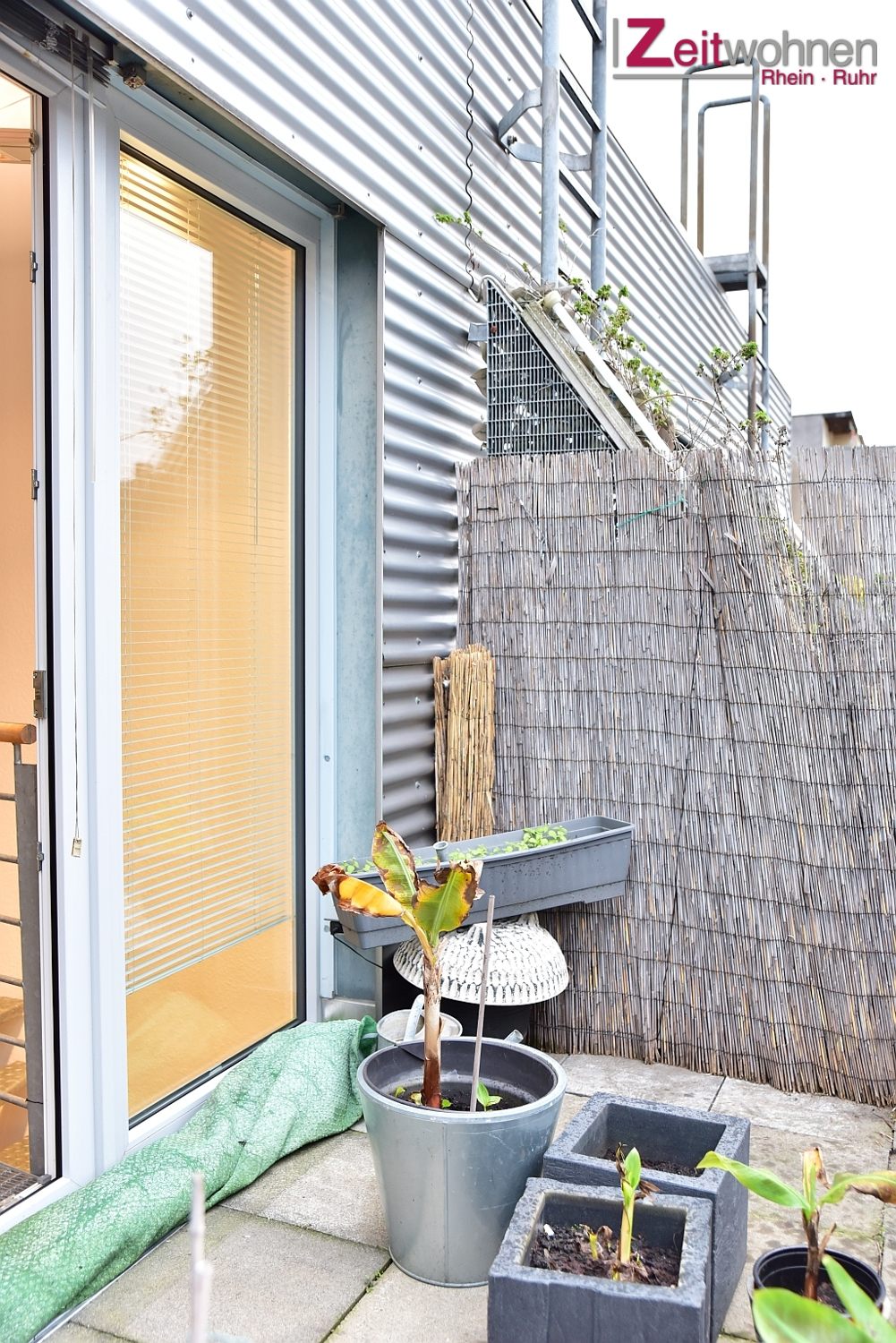 Wohnung Moltkestraße in Köln