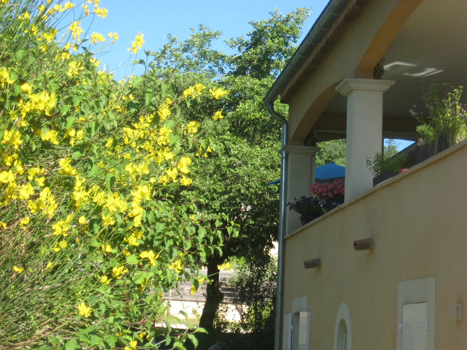 House Chemin des Terres Longues in Venelles