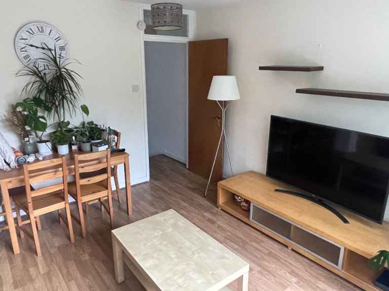 Flat Stranmillis Court in Belfast