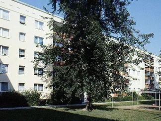 Wohnung Hertzstraße in Dresden