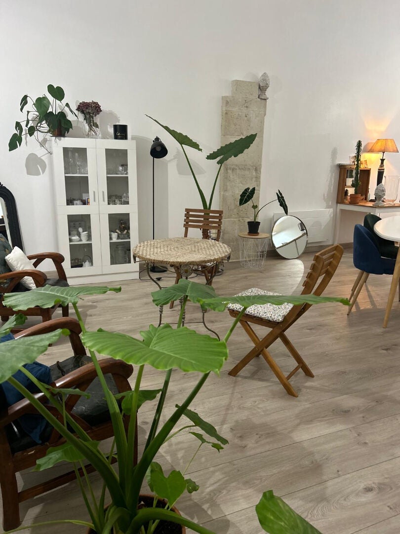 Flat Rue Dacier in Saumur