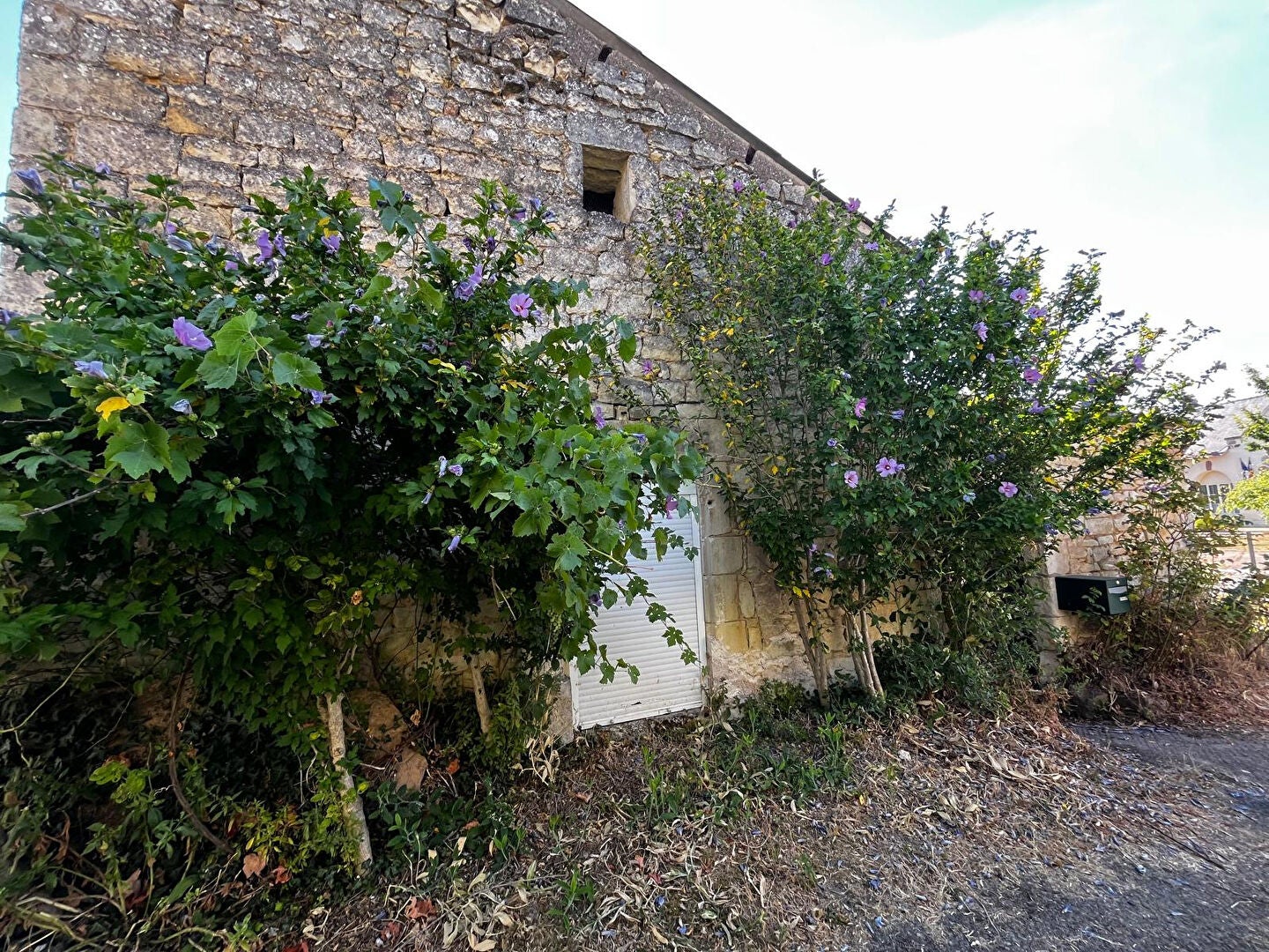 Maison Rue Dacier à Saumur