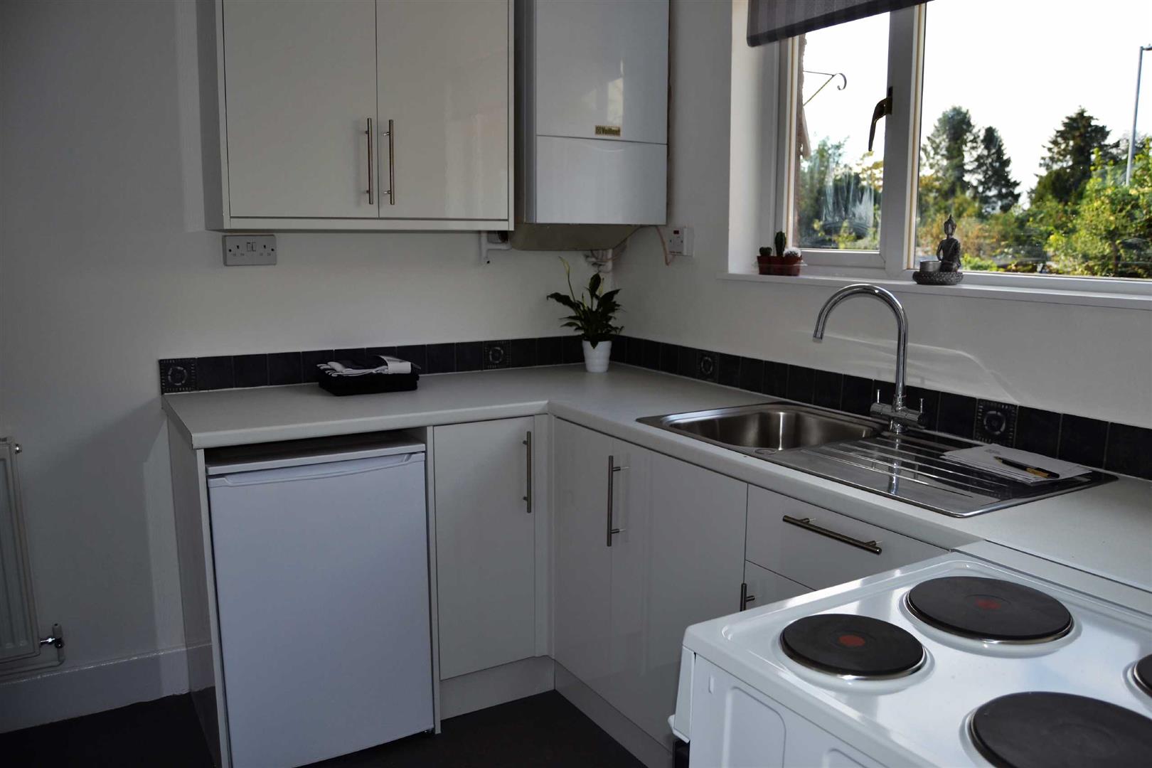 House Fir Tree Walk in Harborough