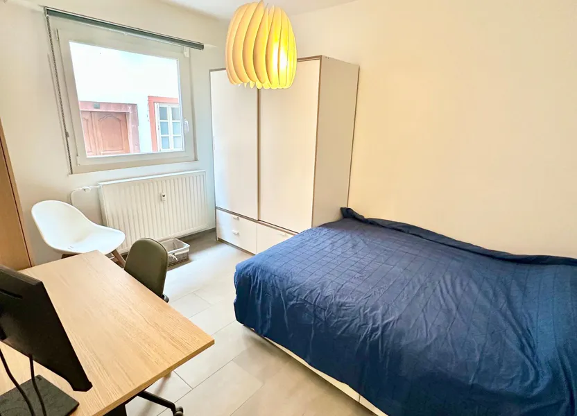 Flat Rue Sainte-Elisabeth in Strasbourg