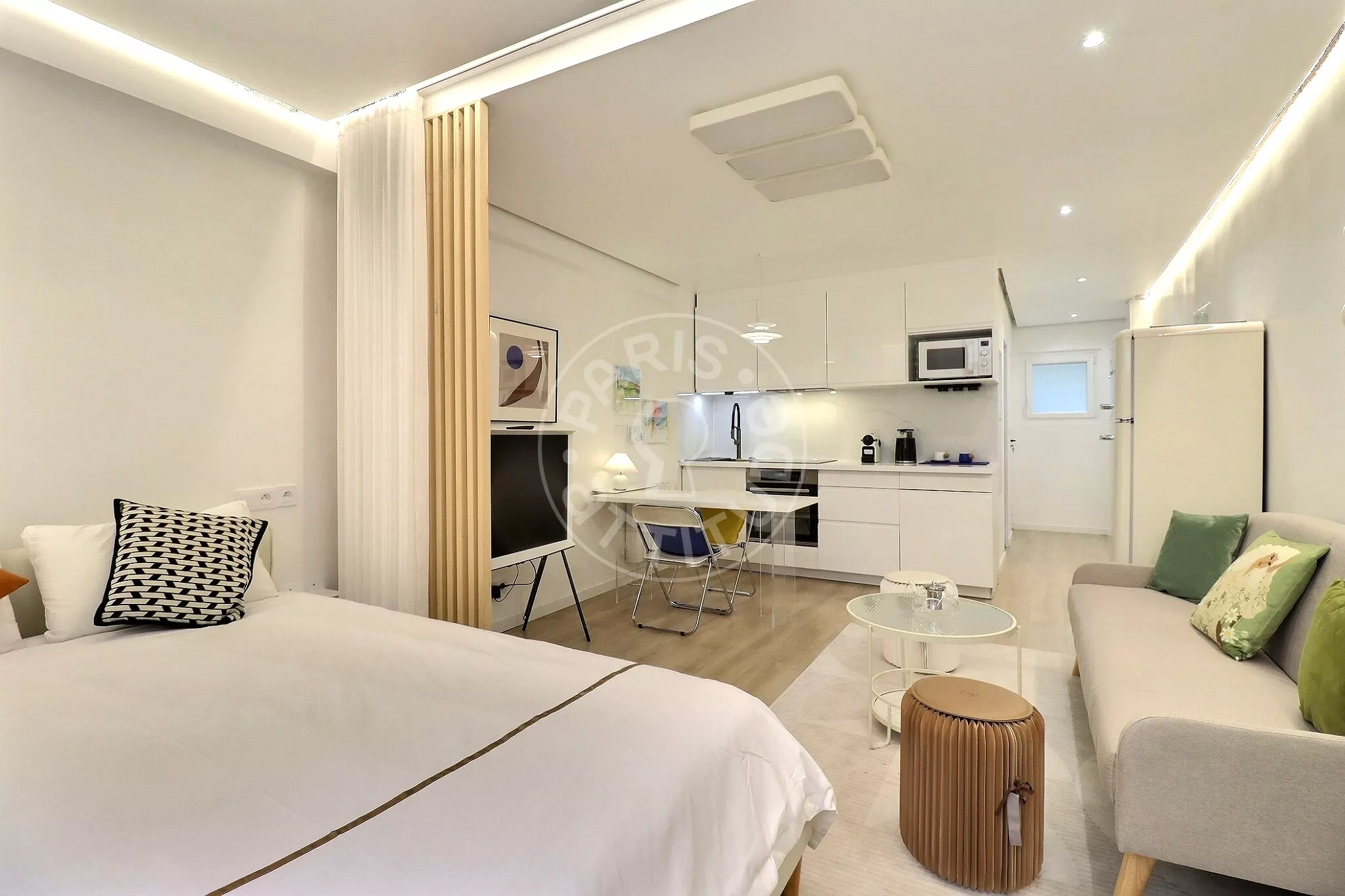 Flat Rue Letellier in Paris