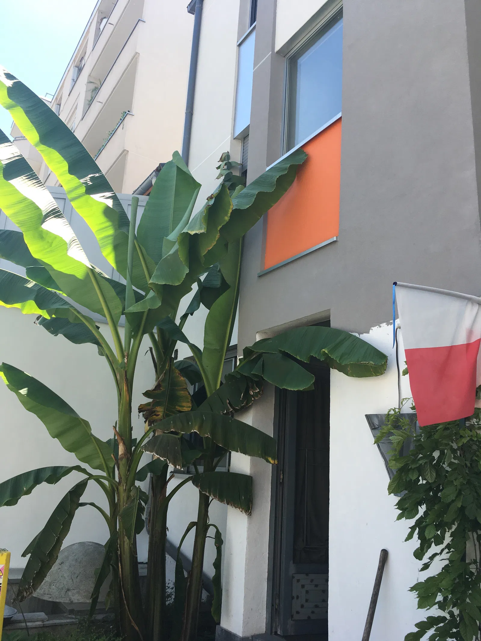 Room Avenue Pierre Grenier in Boulogne-Billancourt