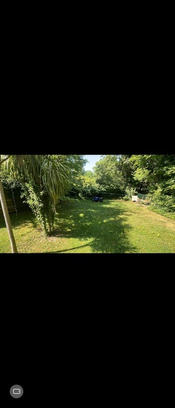 Room Thicket Road in Greater London