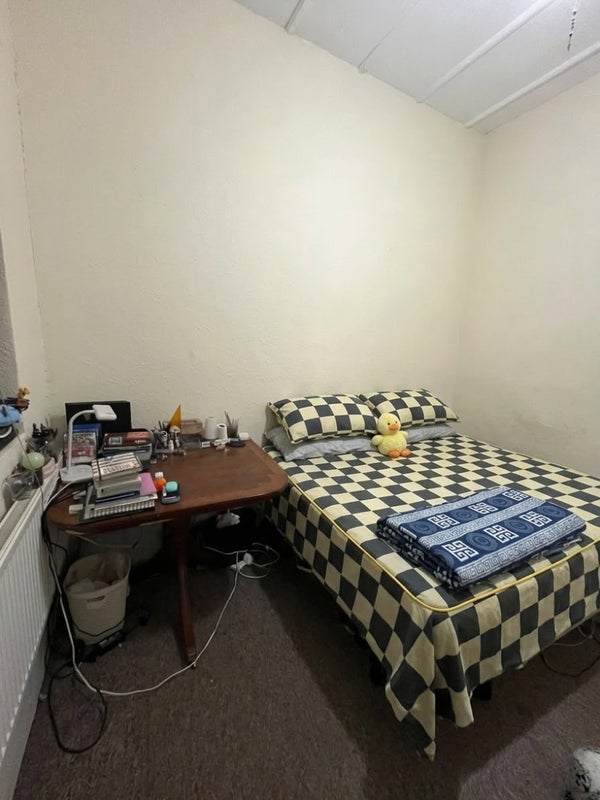 Room Thicket Road in Greater London