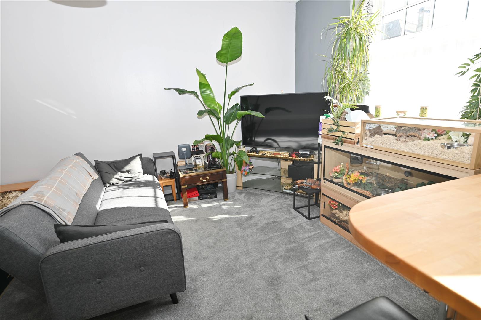 Flat Newbiggin in Richmond