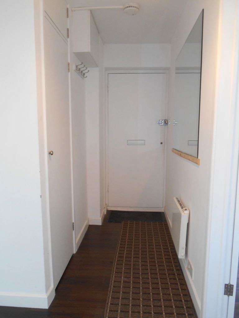 Flat Swan Close in Three Rivers