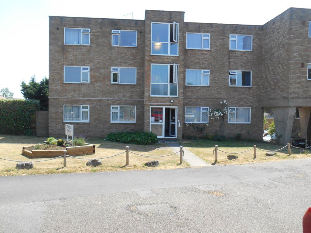 Flat Swan Close in Three Rivers