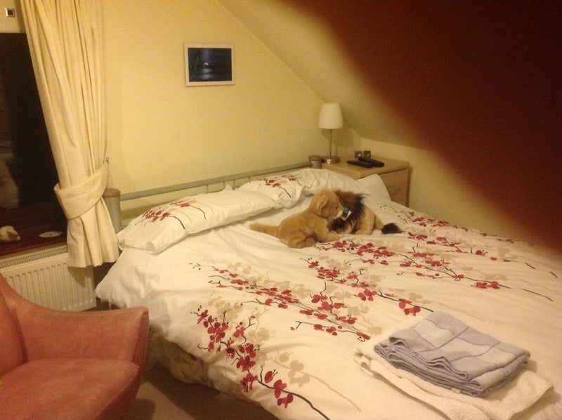Room Westerdale Close in Keyingham